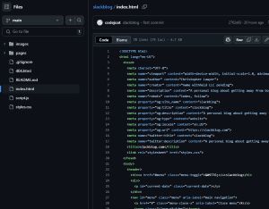 A screenshot of my first git commit.